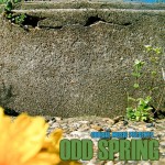 Oddisee – Odd Spring, Mixtape.